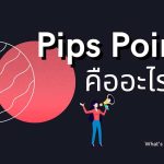 Pip Point คืออะไร