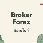 โบรกเกอร์ Forex คืออะไร