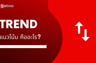 แนวโน้ม คืออะไร