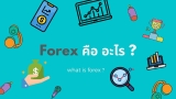 Forex คืออะไร เริ่มต้นอย่างไรดี หลอกหลวงหรือเปล่า