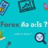แข่งขันเทรด Forex บัญชี Real Demo ปี 2565