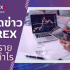 ระบบเทรด Forex แนวรับ แนวต้าน ให้ได้กำไร