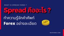สเปรดคืออะไร (Spread) ในตลาด Forex