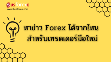 หาข่าว Forex ได้จากไหน สำหรับเทรดเดอร์มือใหม่