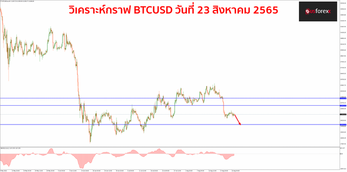 BTCUSD วันที่ 23 สิงหาคม 2565
