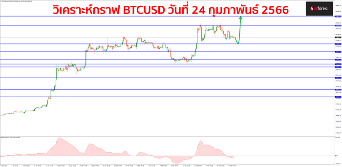 BTCUSD วันที่ 24 กุมภาพันธ์ 2566