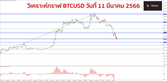 BTCUSD วันที่ 11 มีนาคม 2566
